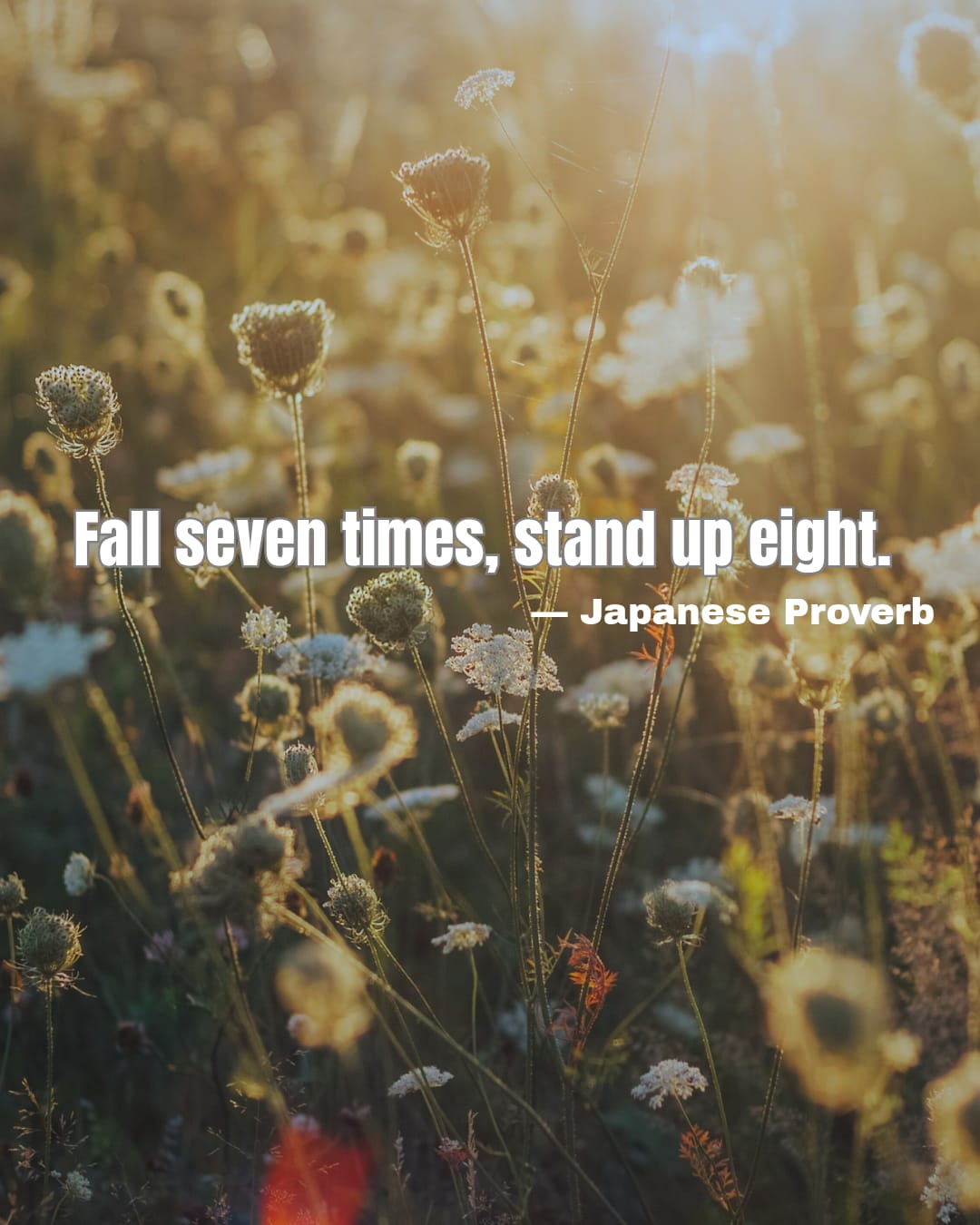 Fall seven times, stand up eight.
