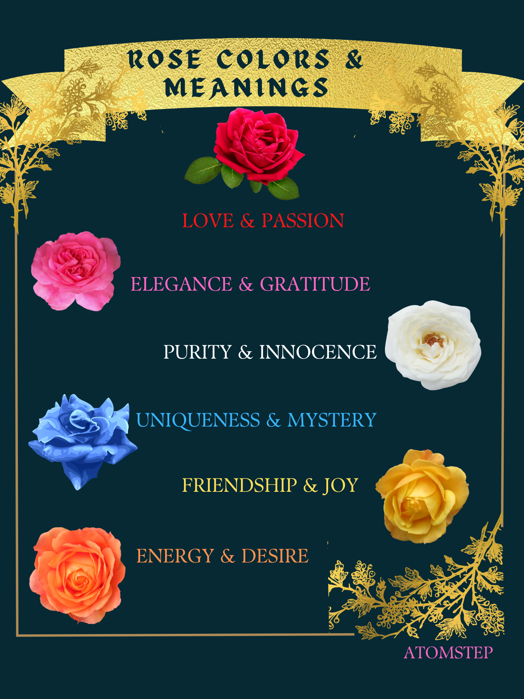 ROSE COLORS & MEANINGS : LOVE & PASSION, ELEGANCE & GRATITUDE, PURITY & INNOCENCE ,UNIQUENESS & MYSTERY ,FRIENDSHIP & JOY ,ENERGY & DESIRE .